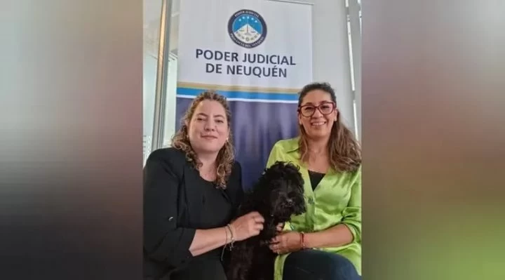 El perro “Oreo” juró ante la Justicia de Neuquen: “Los chicos en la cámara Gesell le levantan la oreja y le cuentan su verdad”