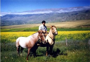 La historia de Benjamín Reynal: recorrió a caballo el país por 9 meses y lo cuenta en un libro 20 años después