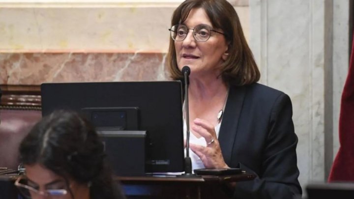 Mónica Silva: &quot;En todo momento manifesté mi intención de votar a favor de Ficha Limpia&quot;