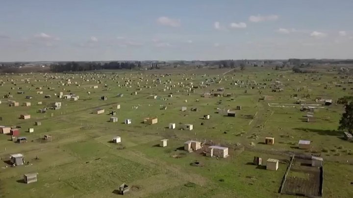 Toma de Los Hornos: venden terrenos a 400 mil pesos tras el fallo que declaró que no fue un delito