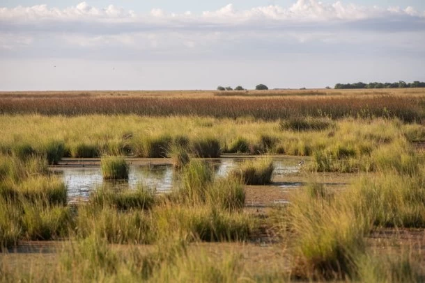 Maria Samanta Anguiano Campo: "El Parque Nacional Campos del Tuyu tiene 17 a&ntilde;os y est&aacute; a la altura de la base donde est&aacute; la sonrisa de la bah&iacute;a de San Boronb&oacute;n"