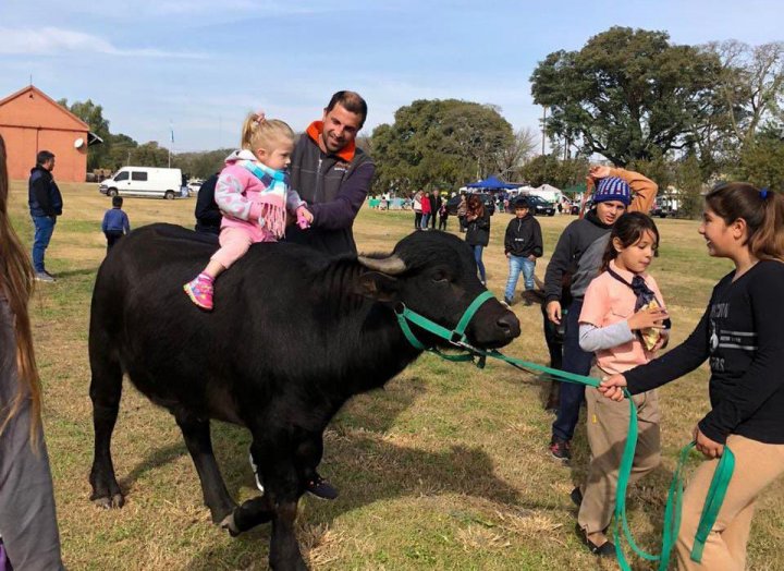 Impulsó la búfalo - terapia en Argentina: &quot;Son animales muy inteligentes, muy tiernos y que te devuelven lo que le das&quot;