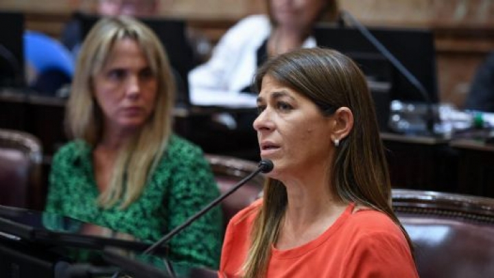 Guadalupe Tagliaferri: “Al Gobierno le está faltando vocación de dialogo”