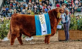 Era veterinario de campo, comenzó a ser cabañero por hobby y crió al Toro argentino campeón del Mundo