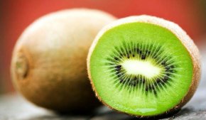 Federico Olivieri y Javier Volpatti dialogaron acerca de la producción de kiwi en General Madariaga