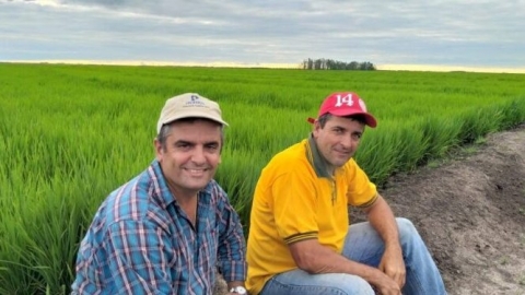 El Entrerriano Víctor Odiard se cansó de pagar fortunas para regar y mudó su siembra de arroz a Corrientes