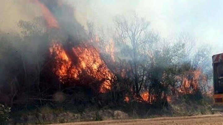 Incendios en Corrientes: advierten que se incendiaron dos tercios de los Esteros del Iberá