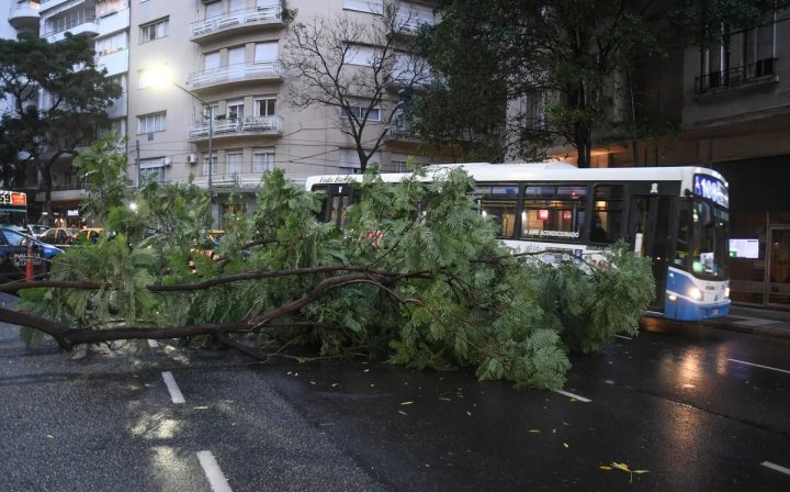El fenómeno climático que causó descenso de temperatura y fuertes vientos en todo el país