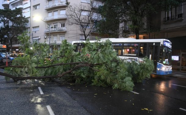 El fenómeno climático que causó descenso de temperatura y fuertes vientos en todo el país