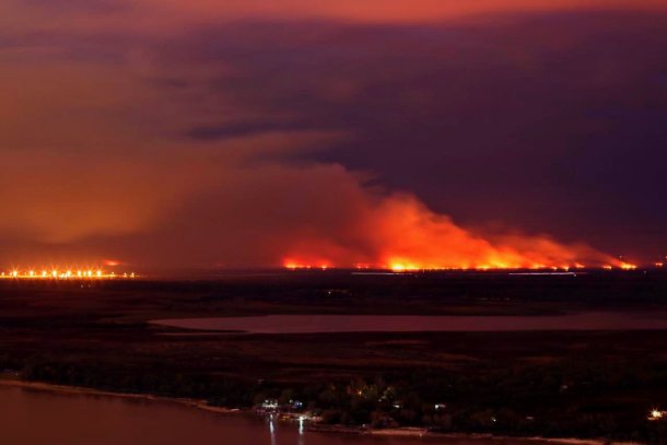 Dirige una ONG dedicada a cuidar el Paraná: "Es histórico la falta de recursos del Ministerio de medio ambiente”