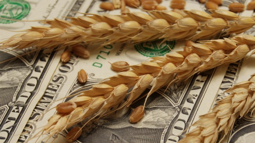 Con el fideicomiso del trigo, el Gobierno espera recaudar 400 millones de dólares