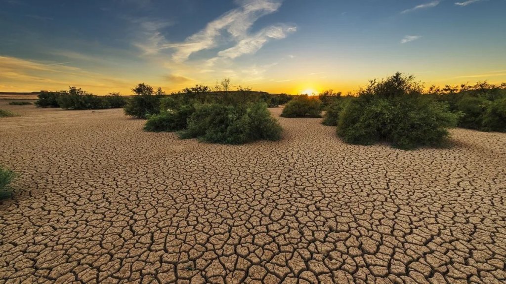 Sequía en todo el país: &quot;Debemos agradecer que los precios de las commodities siguen altos&quot;