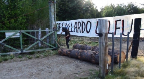 Ocupan un campo cerca de Bariloche y alegan ser los dueños por pertenecer a una comunidad mapuche