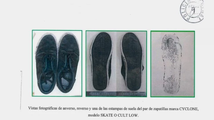 Crimen de Fernando: &quot;No podemos hacer la medición para determinar si el zapatillazo de Thomsen causó la muerte&quot;