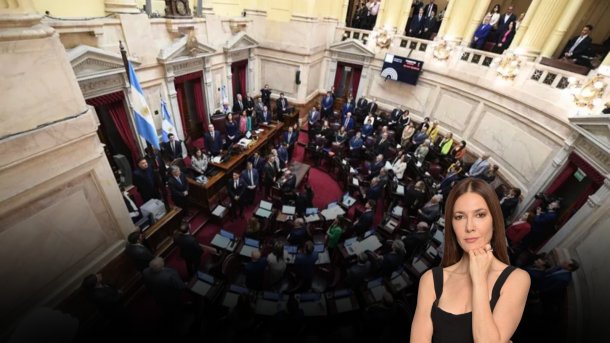 "Las dietas automáticas del Senado: no digan que no hay casta"
