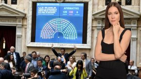 "El DNU le despeja el camino al plan económico"