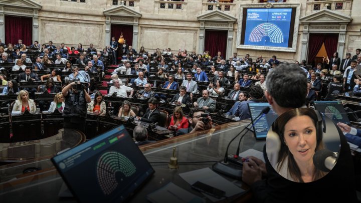 &quot;El anarco-Congreso y el mapa del poder que se juega con la ley Bases en el Senado&quot;