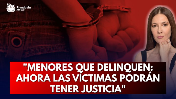 "Menores que delinquen: ahora las víctimas podrán tener justicia"