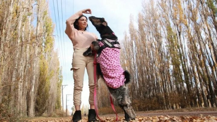La historia de Vilma, la cabra que se cree perro