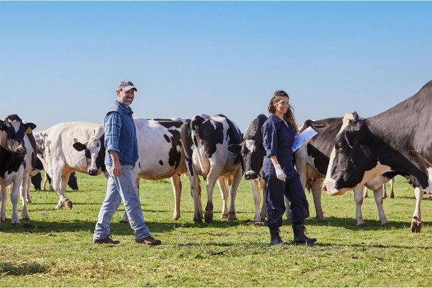 La Serenísima es la primera empresa de la región en obtener el sello de bienenestar animal