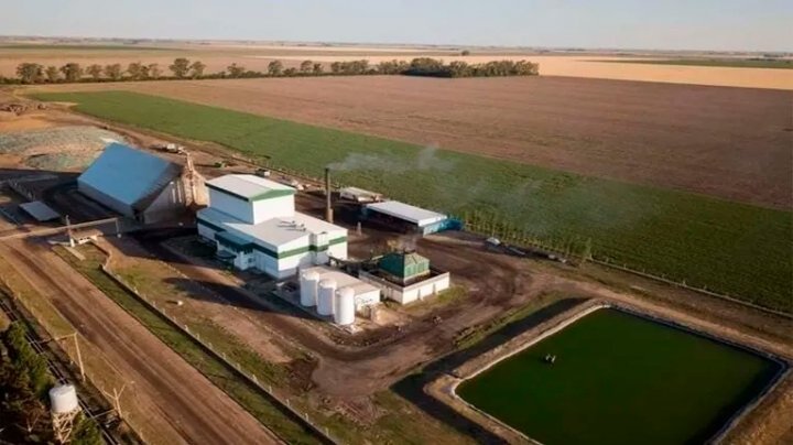 El pueblo cordobés que elude los cortes de luz gracias a la cáscara de maní: &quot;Podemos alimentar con energía hasta 6 mil familias&quot;
