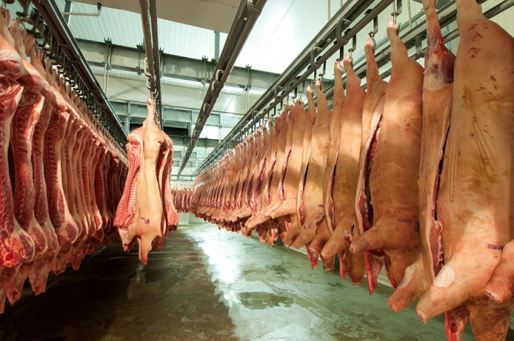 Carne Porcina: Constante crecimiento de la producción