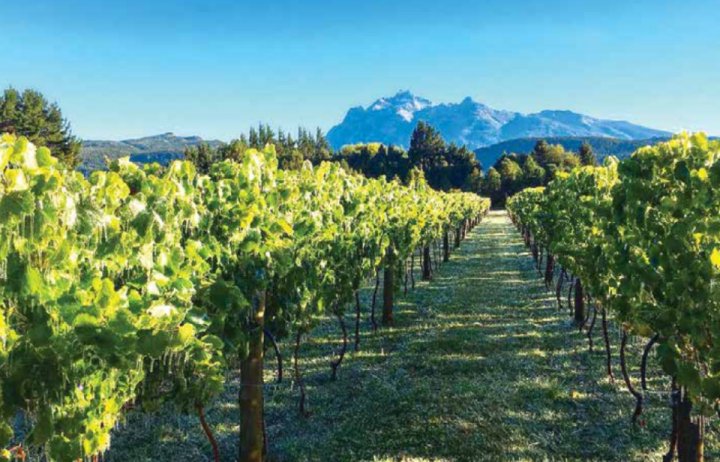 Carlos Camargo: &quot;El turismo rural permite conectar con la naturaleza y las cosas simples&quot;