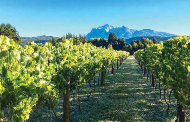 Carlos Camargo: "El turismo rural permite conectar con la naturaleza y las cosas simples"