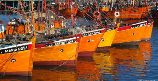 Laura Marín Palmero: "La industria de la pesca Argentina está en crecimiento y se profesionalizó"