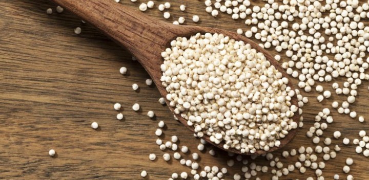 Lucas Guillén: &quot;El objetivo es que la Quinoa sea una producción nacional&quot;