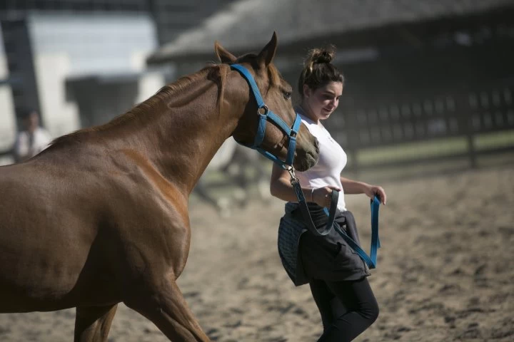 Llega &quot;Nuestros Caballos&quot; a La Rural en su 20° edición