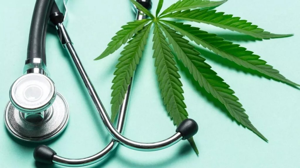 Los usos del cannabis medicinal