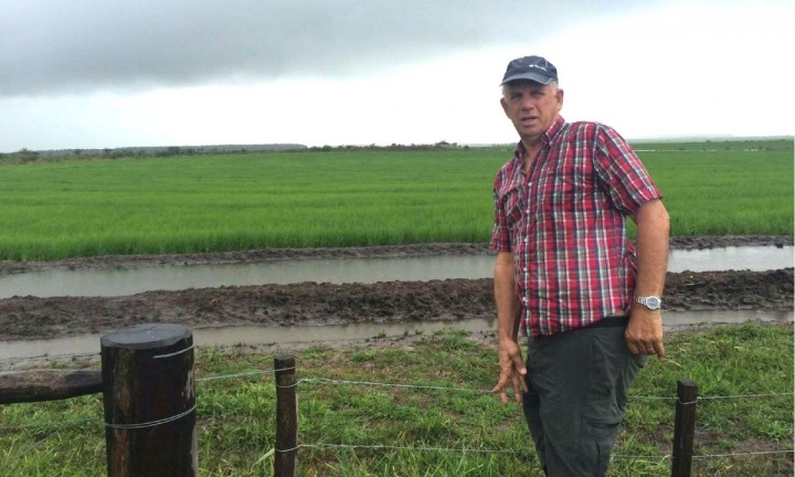 La bajante del Paraná afecta a las tomas de agua de la producción de arroz