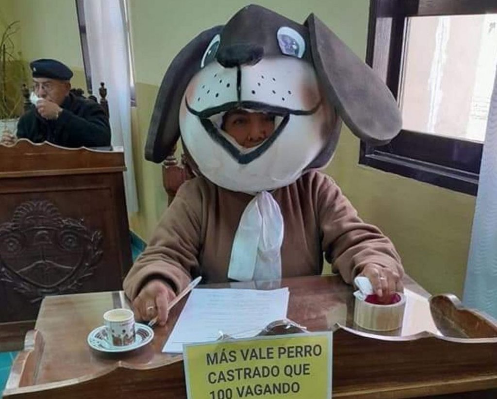 Una concejal de La Quiaca se vistió de perro: &quot;Quise representar a todos los callejeritos pidiendo la castración masiva&quot;