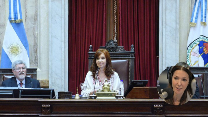 El Senado sólo sesionó dos veces y las dos para el plan impunidad de Cristina