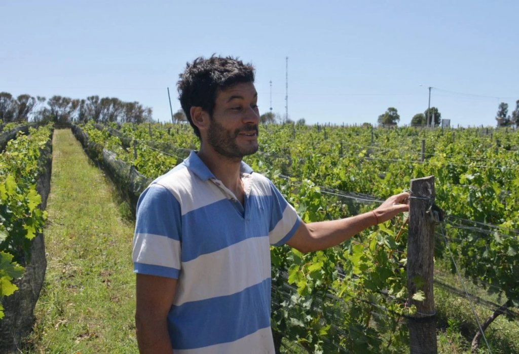 Matias Lucas: &quot;La viticultura es un proceso a largo plazo, pero muy satisfactorio&quot;