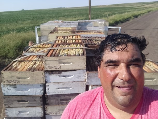 Ruben Omar Montero: "Somos unos hábiles ladrones del trabajo de la abeja"