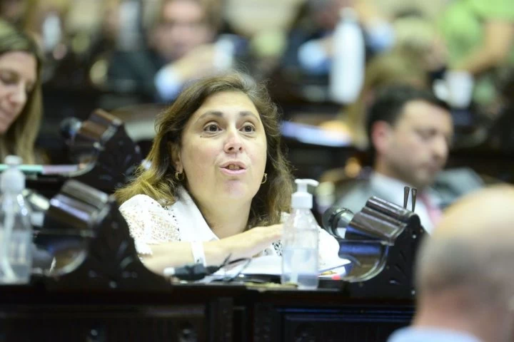 Paula Oliveto: &quot;El Gobierno no puede ver el dolor del pueblo que ya no da más&quot;