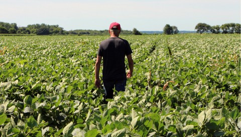 Silvio Montenegro: "El sector agropecuario tiene una contribución por encima del de todas las áreas económicas"