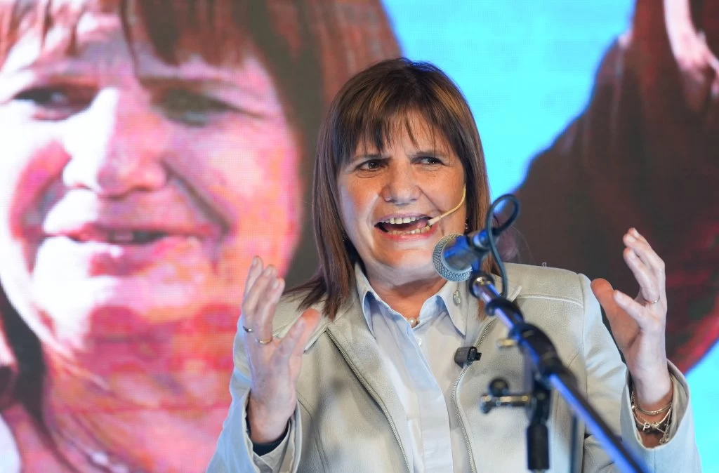 Patricia Bullrich cruzó a parte del PRO por la ley Bases: "El pincelito fino de 'no me gusta esta cosa' no va"