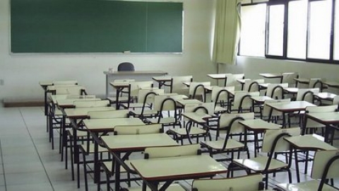 Analía García: "El año no se perdió, los que quisieron sí tuvieron clases"