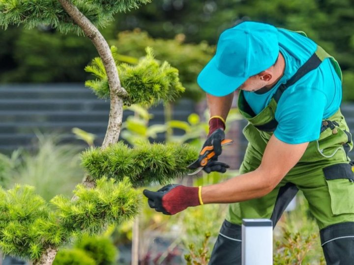 La historia de un jardinero que la luchó y ahora busca empleados para su emprendimiento: &quot;Siempre supe que la salida era el trabajo&quot;