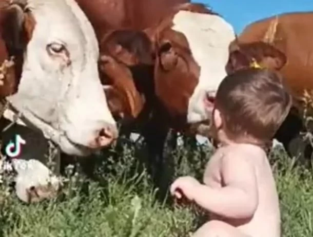 Augusto Gastaldo, mostró como se gesta el vínculo entre su hijo y los animales: “Se dio de manera espontánea, no fue preparado, queremos que crezca en el ámbito rural”