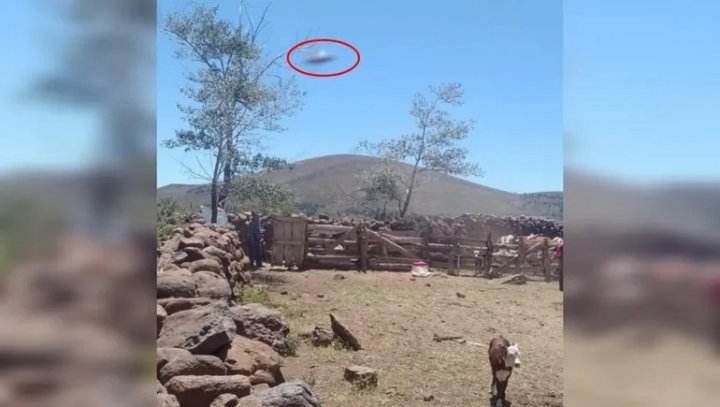 Sacó una foto en un paseo familiar y cuando las miró se dio cuenta que fotografió un OVNI