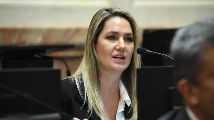 Carolina Losada: "La sesi&oacute;n se levant&oacute; porque no hubo qu&oacute;rum, el kirchnerismo no se present&oacute;"