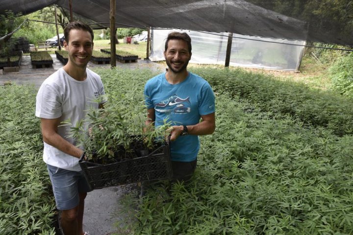 Dos jóvenes cordobeses crearon una &quot;fábrica de árboles&quot; que ya produjo 40 mil plantines