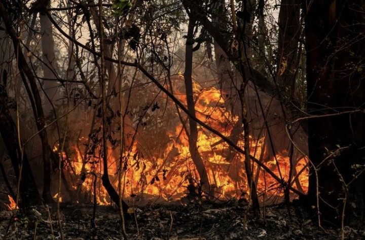 Los incendios en Corrientes llegaron a los Esteros del Iberá