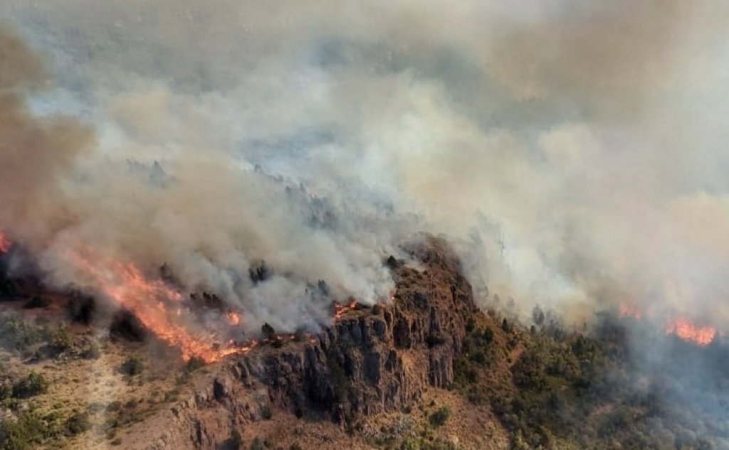 Cecilia Guajardo: &quot;El incendio en el Parque Nacional Los Alerces sigue activo y viene avanzando fuertemente&quot;