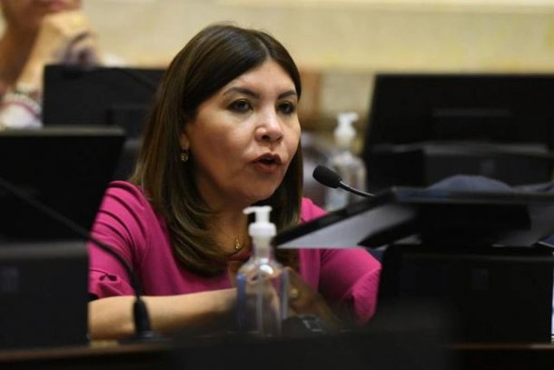 La "Espada de Domacle": el furcio de una senadora del Frente de Todos que se hizo viral