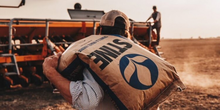 La semillera Stine se prepara para lanzar la soja Enlist. “Viene a mejorar el control de rama negra y yuyo colorado”, define Ignacio Rosasco